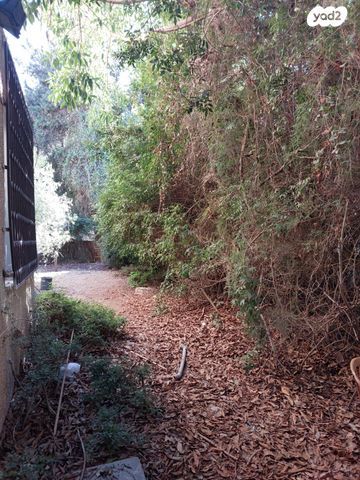 דירה, צדקיהו 7, כרמליה, חיפה