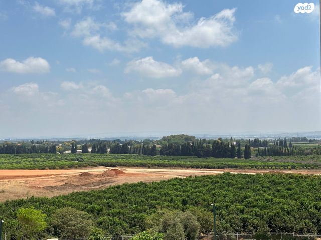 אהוד מנור 14