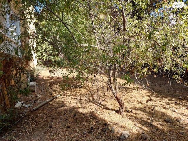 דירה, צדקיהו 7, כרמליה, חיפה