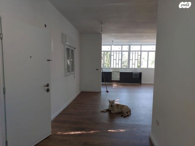 דירה, צדקיהו 7, כרמליה, חיפה