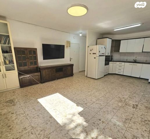 אריה בן אליעזר 10
