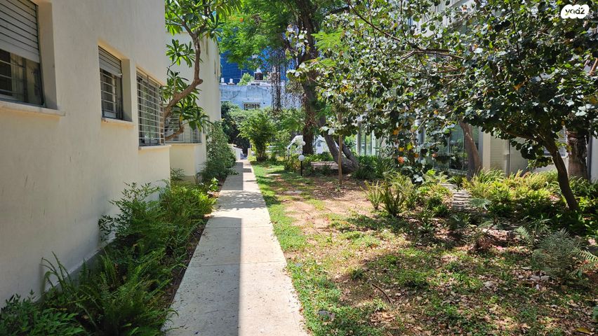 דירה, מזא"ה, לב תל אביב, לב העיר צפון, תל אביב יפו