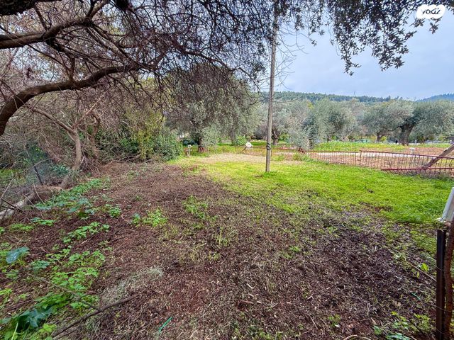 דו משפחתי, פרוד