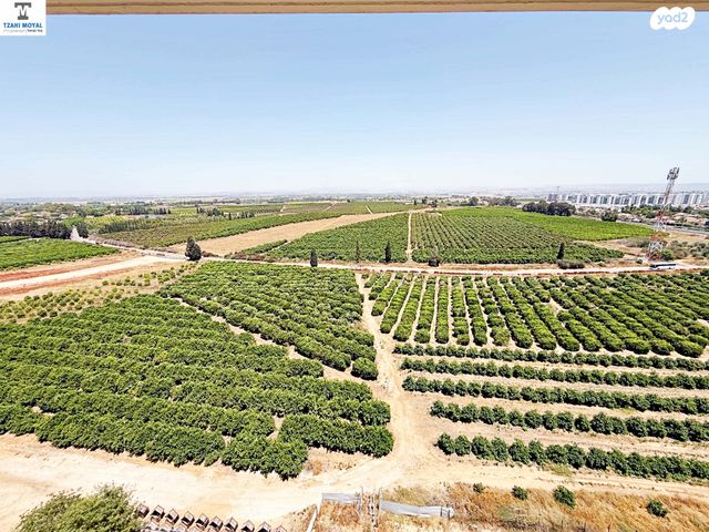 דירה, שושנה דמארי 11, יפה נוף, כפר יונה