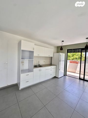 גג/ פנטהאוז, בעל העקידה, שפירא, תל אביב יפו