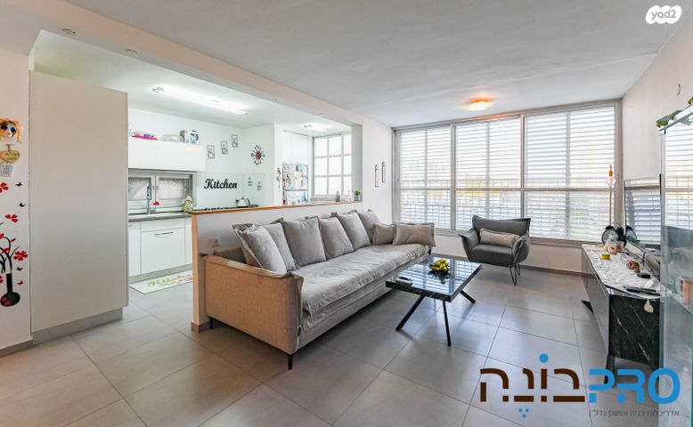 שלמה מולכו 6