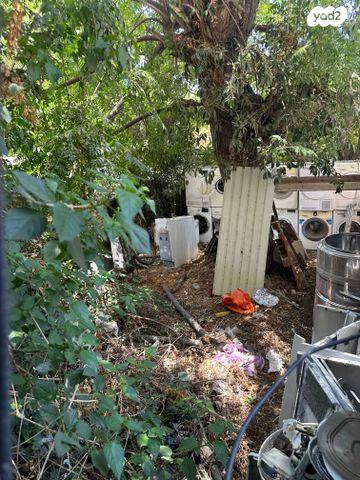 דירה, אפרים צור, שקמים ואגמים, אשקלון