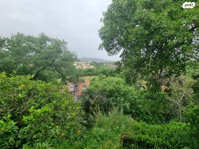 דו משפחתי, קרית טבעון