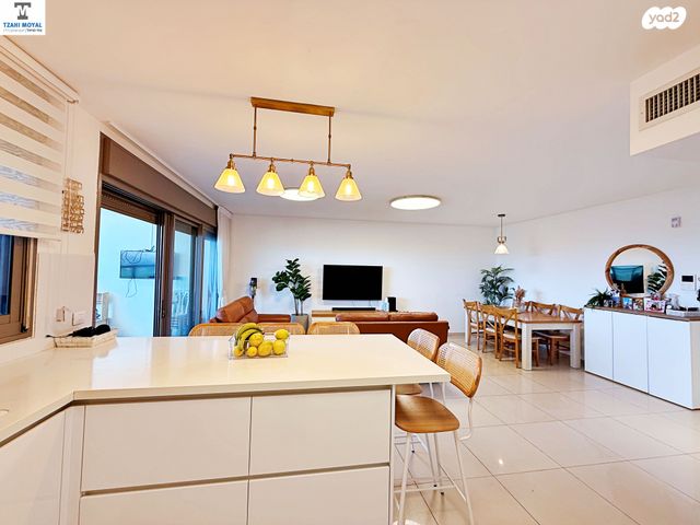 שושנה דמארי 11