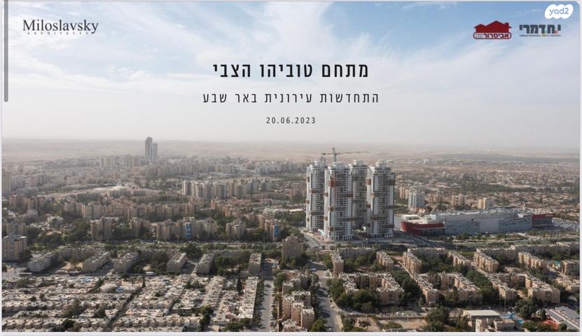 הצבי 11