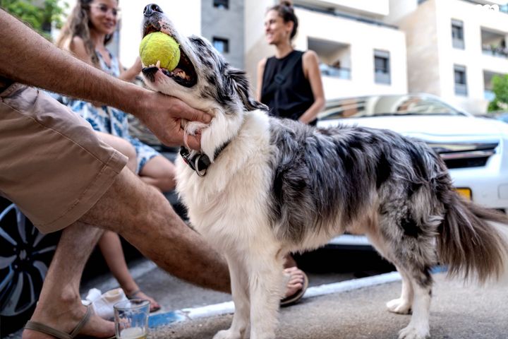 דופלקס, עומר אל חטאב 4, העיר התחתית, ואדי סאליב, חיפה