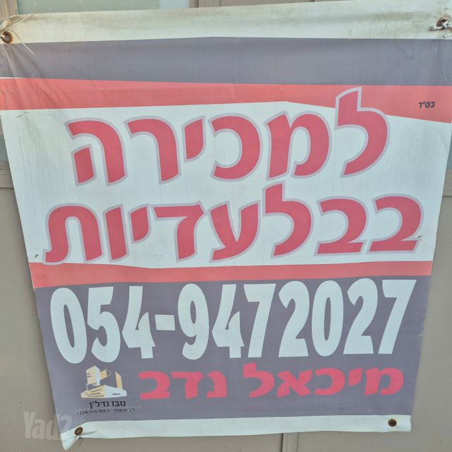 ד"ר מוסקוביץ' 