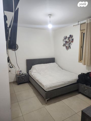 דירה, ריה"ל, אירוס, ירוחם