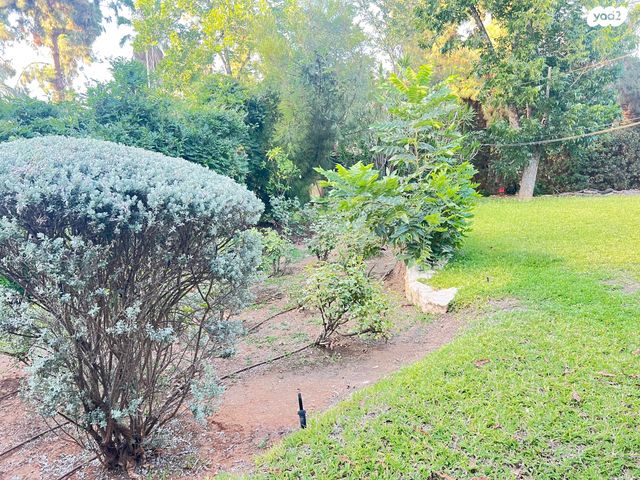 בית פרטי/ קוטג', סביון, סביון