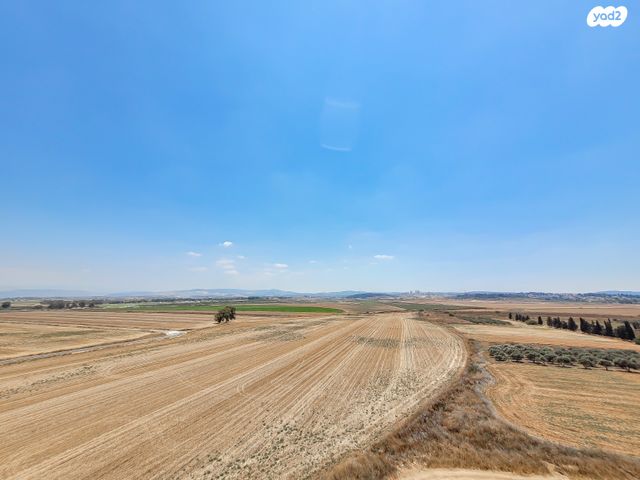 גג/ פנטהאוז, יקינטון, גבעת הרקפות, קרית ביאליק