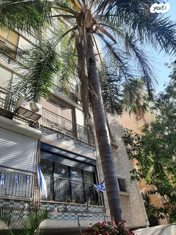 בורוכוב