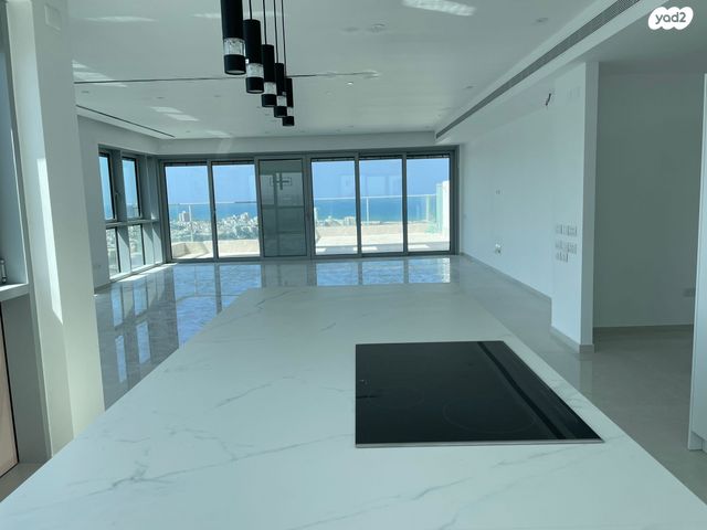 גג/ פנטהאוז, כוכב הצפון, תל אביב יפו