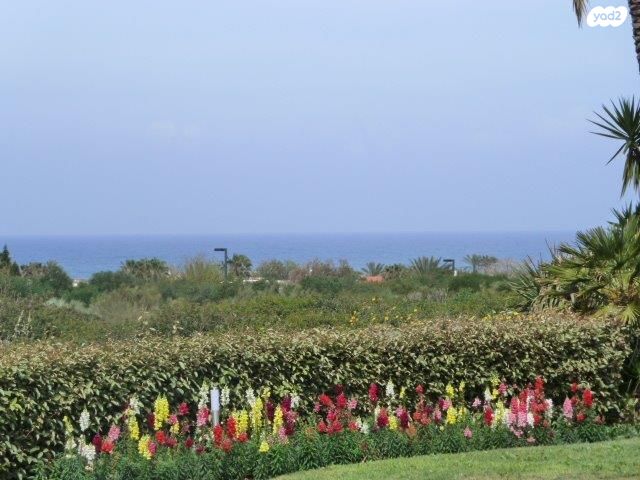 בית פרטי/ קוטג'