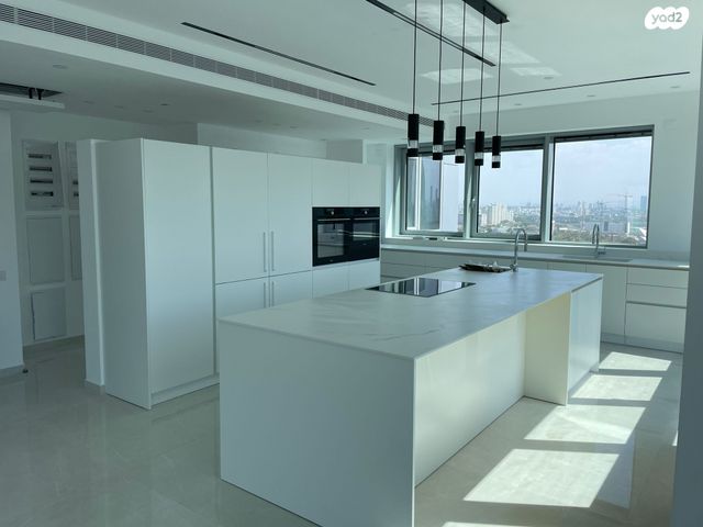 גג/ פנטהאוז, כוכב הצפון, תל אביב יפו