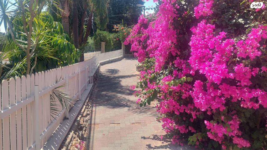 דרך הטכניון 