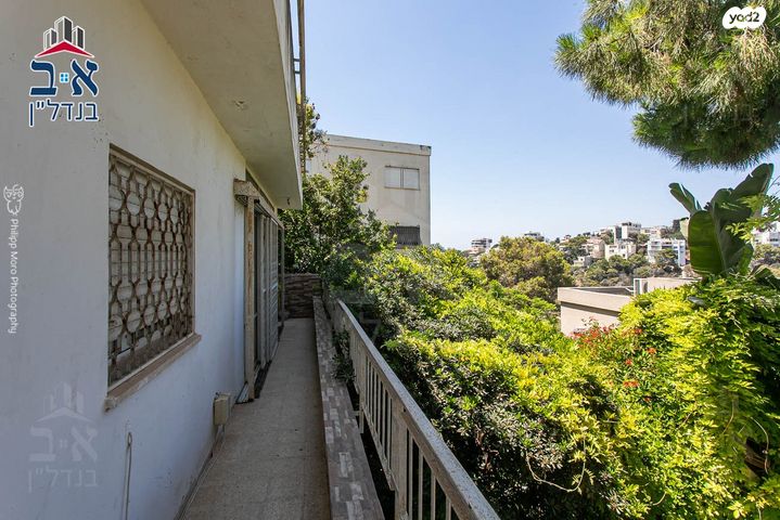 דירה, אלכסנדר ינאי, כרמליה, חיפה