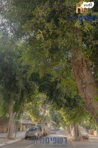 דירה, הרצל, ארלוזורוב, כפר סבא