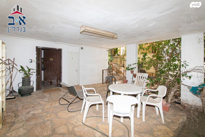 דירה, אלכסנדר ינאי, כרמליה, חיפה