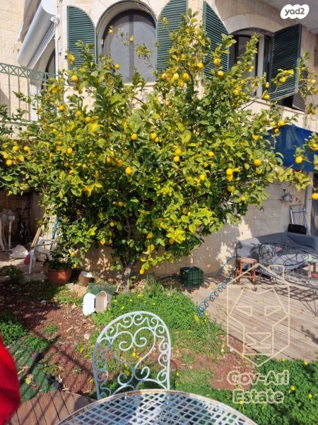 דופלקס, גיחון, גבעת חנניה, אבו תור, ירושלים