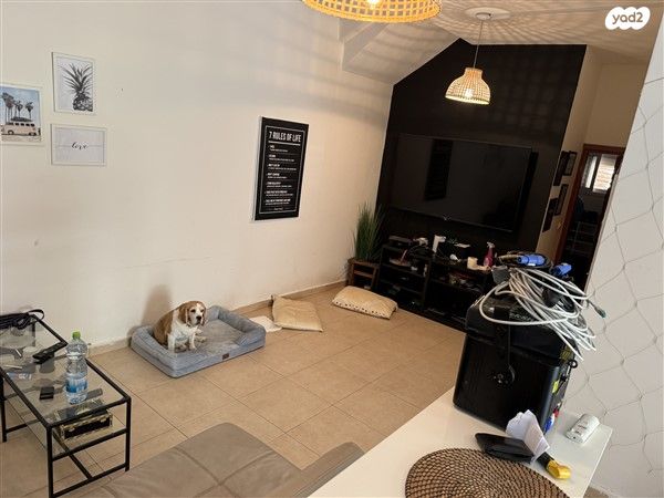 בית פרטי/ קוטג'