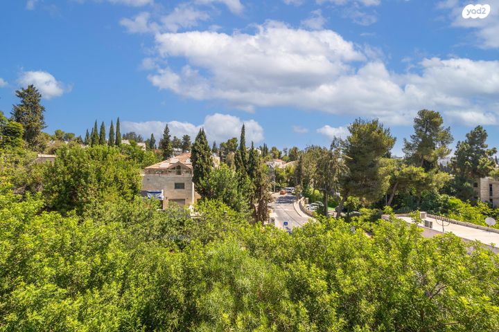 דופלקס, ירושלים