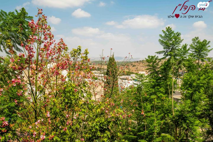 דירה, כרכום, הפרחים, מודיעין מכבים רעות