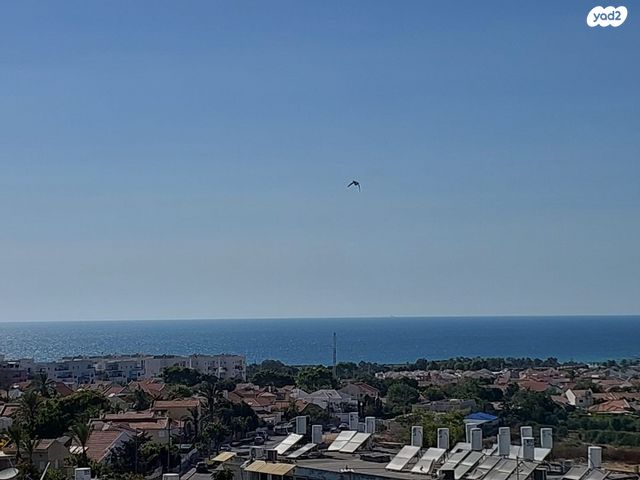 דירה, אפרידר, אשקלון