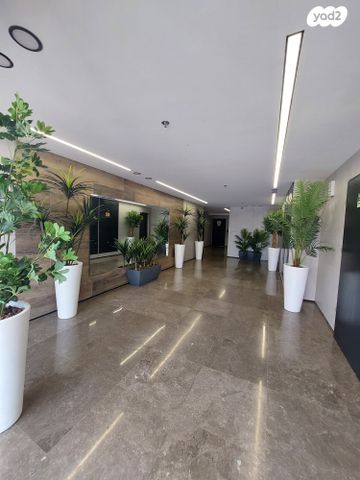 דירה, ברנע, אשקלון