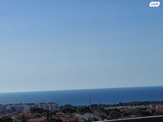 דירה, אפרידר, אשקלון