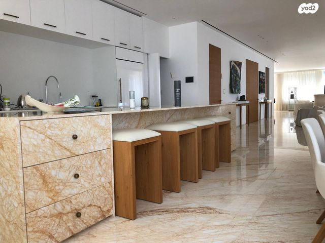 גג/ פנטהאוז, הצפון הישן - דרום, תל אביב יפו