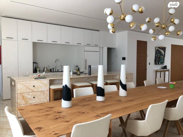 גג/ פנטהאוז, הצפון הישן - דרום, תל אביב יפו