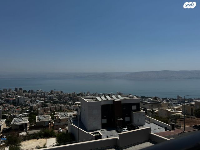 צאלון 