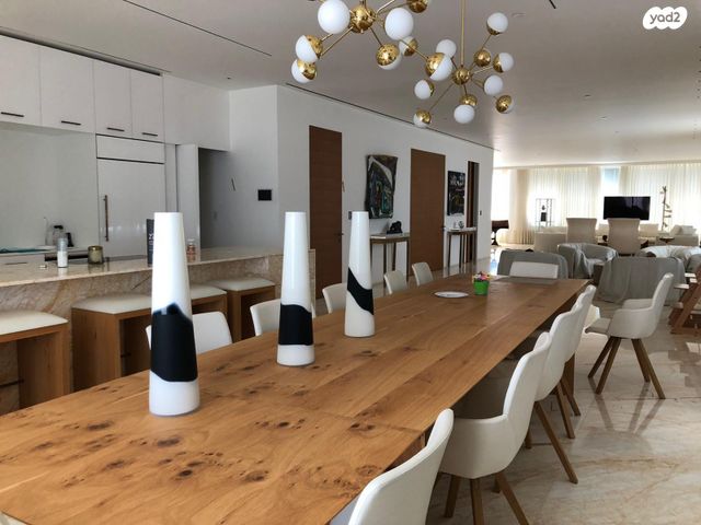 גג/ פנטהאוז, הצפון הישן - דרום, תל אביב יפו