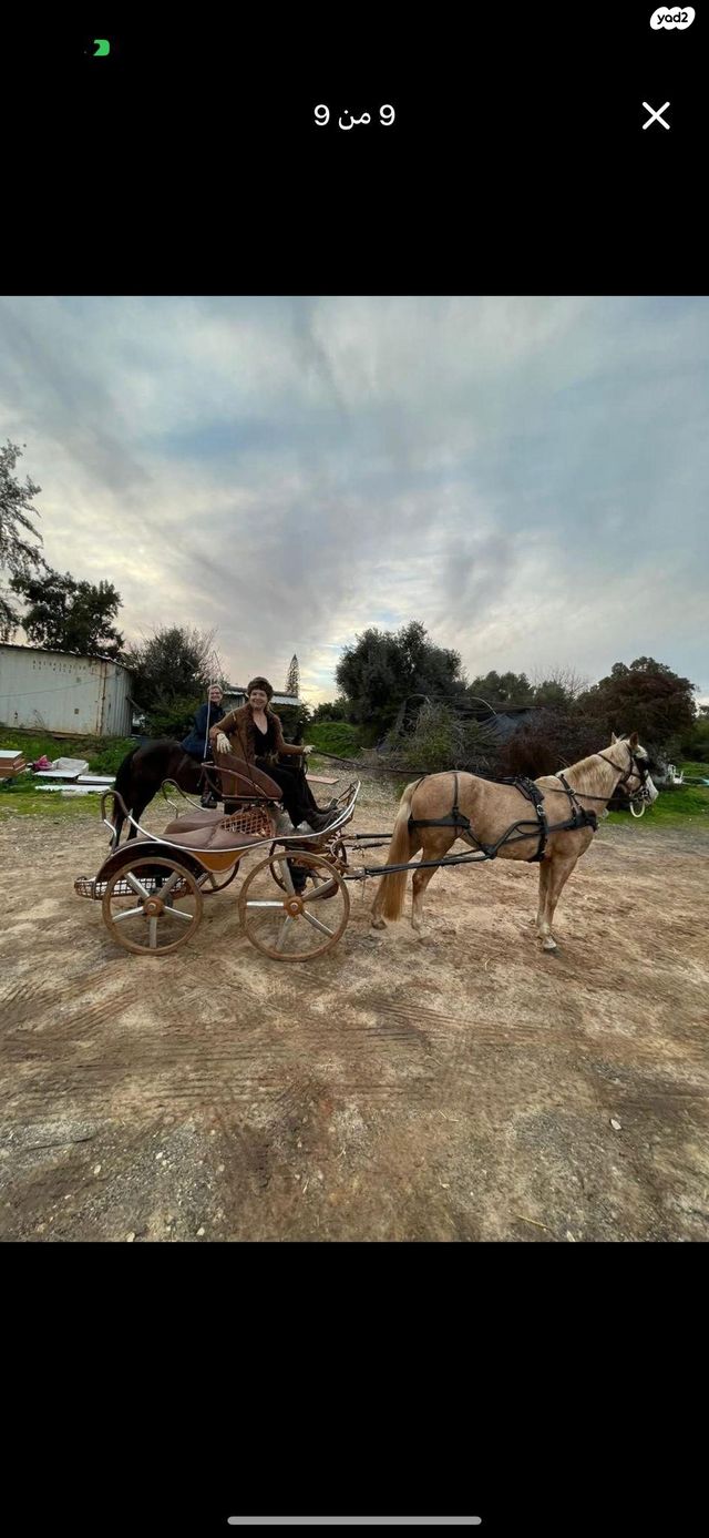 אביזרים | כרכרה