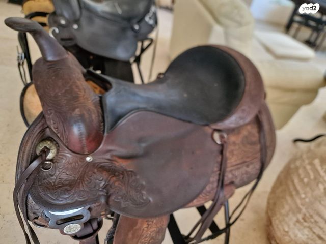 אביזרים | אוכף