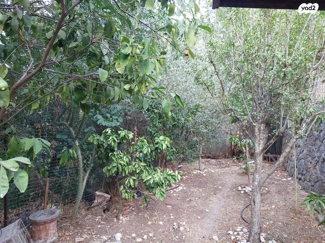 דירת גן, הדוברת 14, פנינת העמק, מגדל העמק