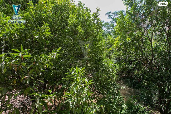 דירה, שדרות ג'יימס דה רוטשילד, קרית אליהו, חיפה