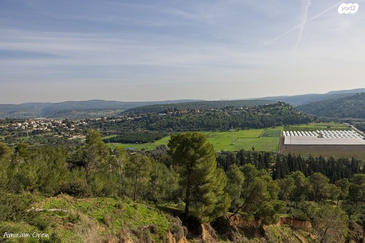 משק חקלאי/ נחלה, כרם מהר"ל
