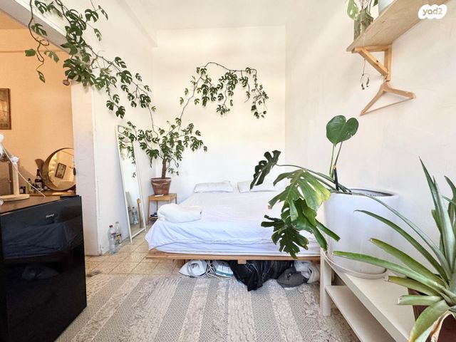 דירה, תל אביב יפו