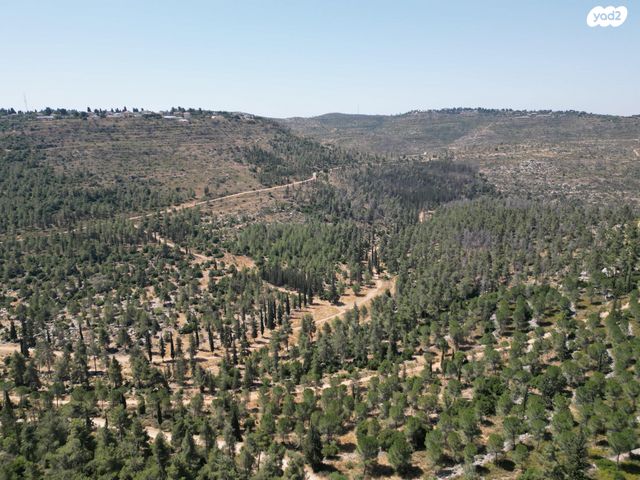 מגרשים, שואבה