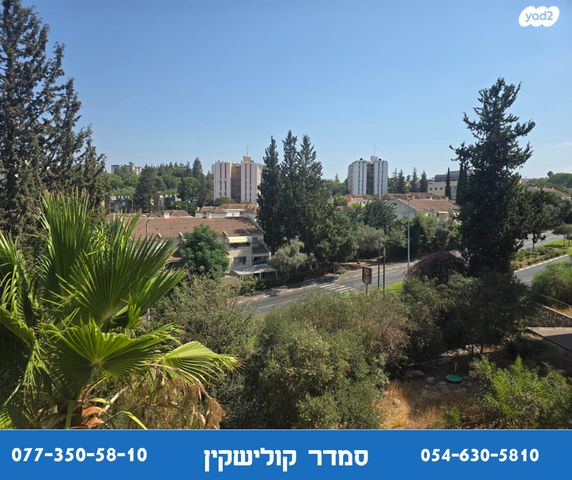 דירה, ארבל, כרמיאל