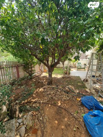 דירת גן, כפר יונה