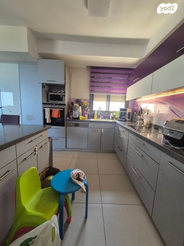 דירה, אלמוג, רמת חביב / רמת הנשיא, חיפה