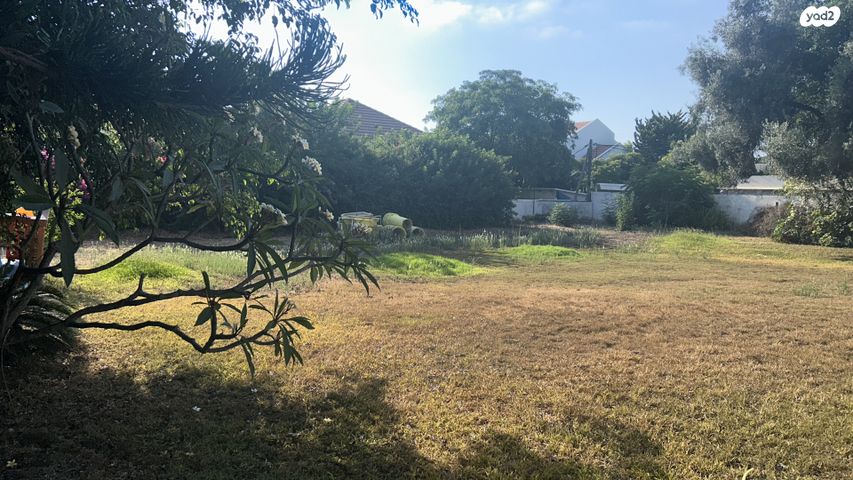 הרצליה פיתוח