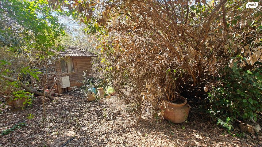 בית פרטי/ קוטג', לוטם